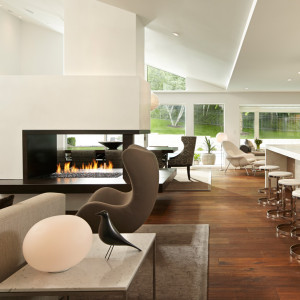 Indoor modern design fireplace